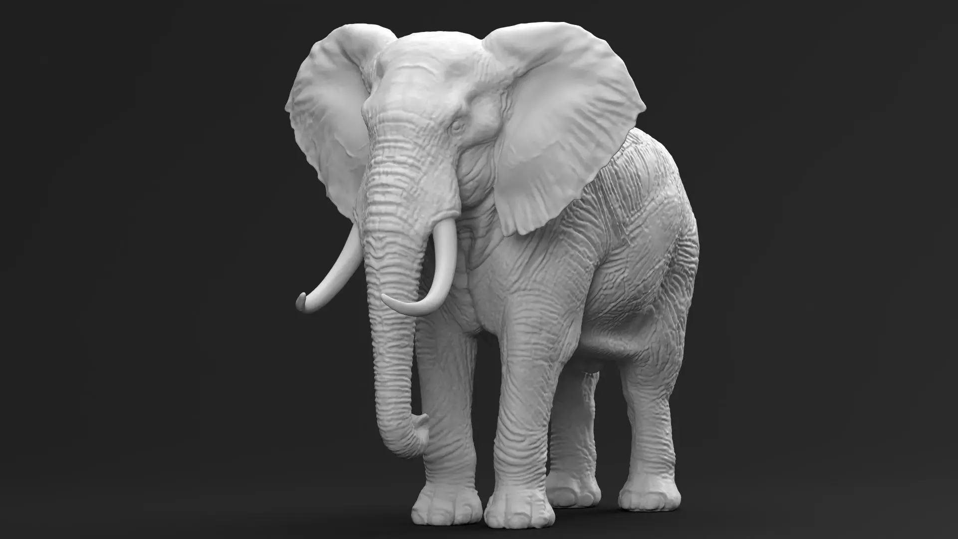 Elephant 01 3D print model
