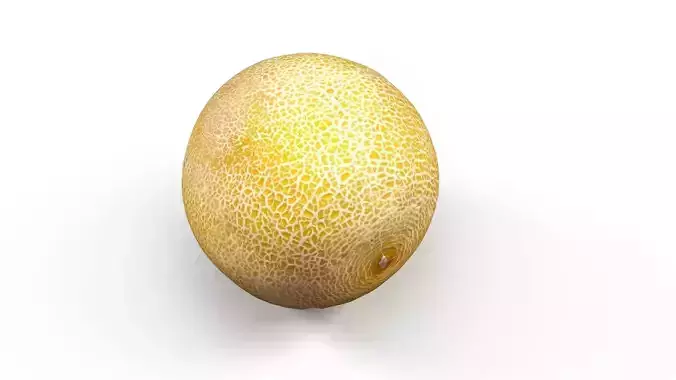 Melon lowpoly and scan Low-poly 3D model 5