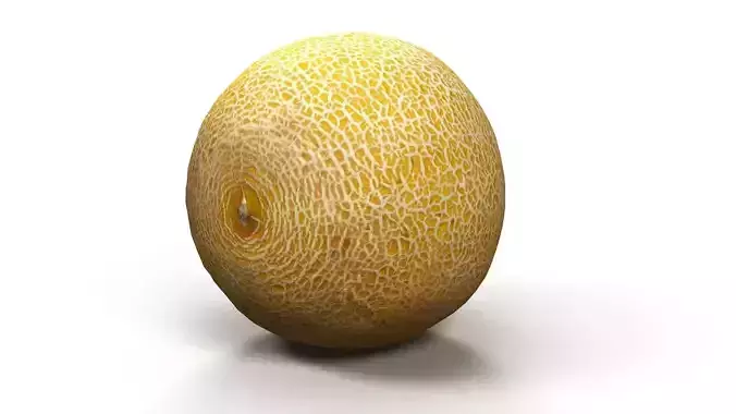 Melon lowpoly and scan Low-poly 3D model 3