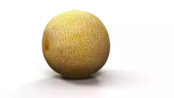 Melon lowpoly and scan Low-poly 3D model 4
