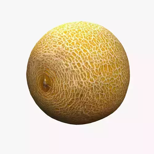 Melon lowpoly and scan Low-poly 3D model