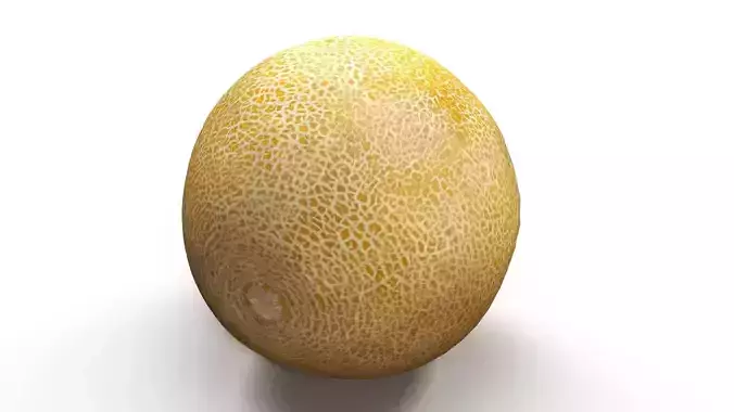 Melon lowpoly and scan Low-poly 3D model 2
