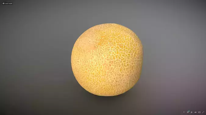 Melon lowpoly and scan Low-poly 3D model 7