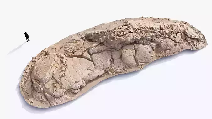 Basalt Stone Ground Scan PBR 