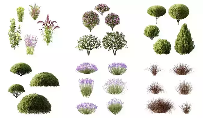 Excellent collection of Outdoor plants 31 Different Models 0045