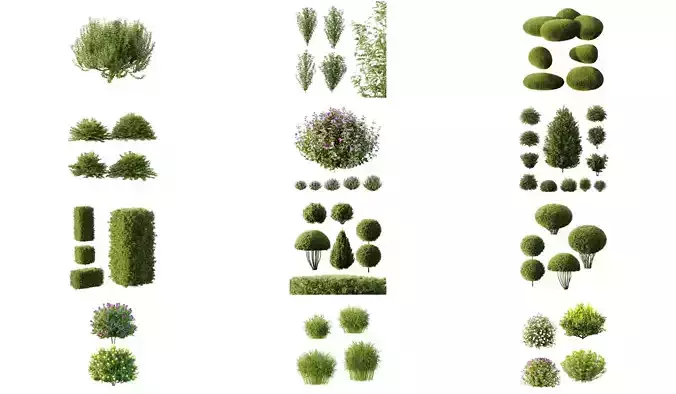 Excellent collection of Outdoor plants 50 Different Models 0046