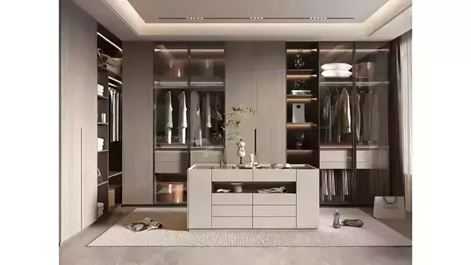 Modern Light Luxury Cloakroom
