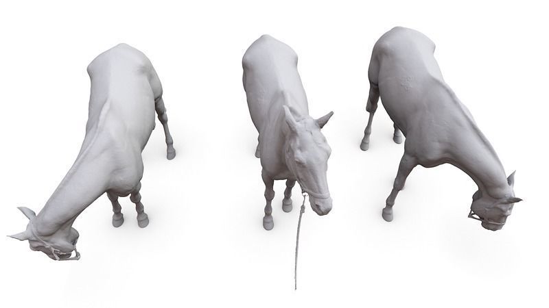 Horse three horses 3D model_4