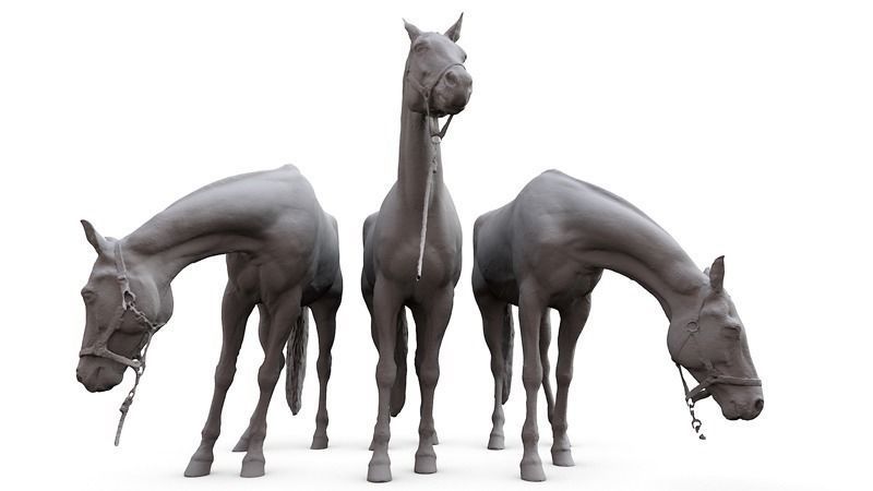 Horse three horses 3D model_2
