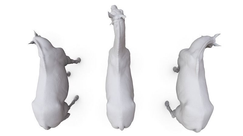 Horse three horses 3D model_6