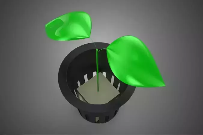 SEEDLING SOIL FREE SOILLESS HYDROPONIC NET POT CUP YOUNG PLANT