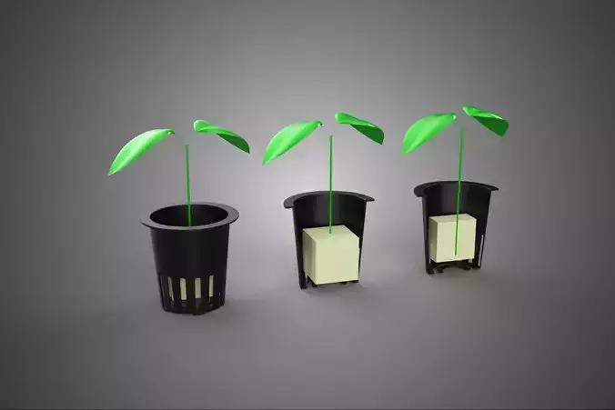 STANDARD CUBE SPONGE ROCK WOOL FOAM PLUG MEDIUM IN PLANT NET POT