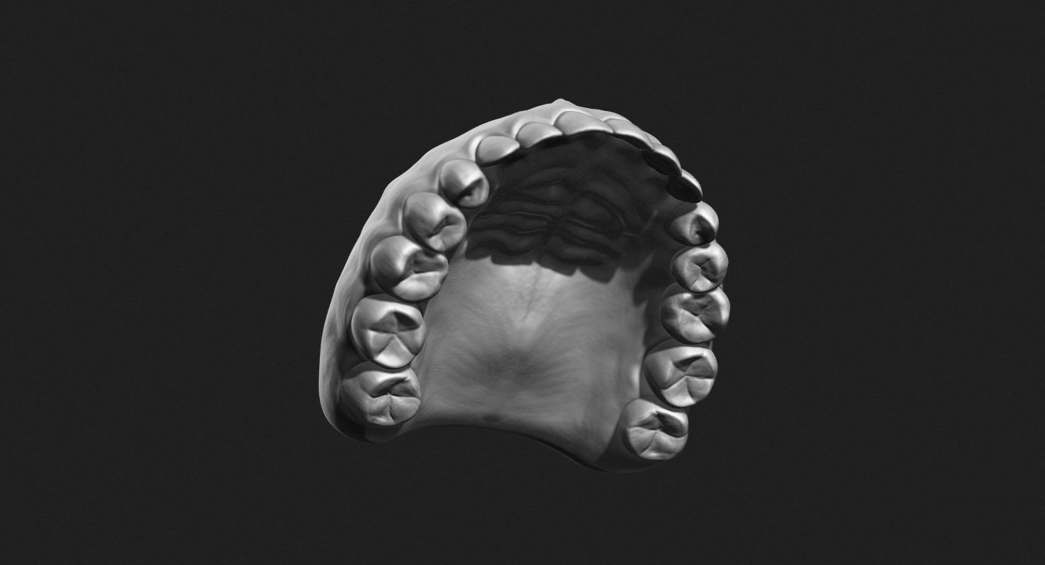 Asian Male Head for Production High Poly 3D model_21