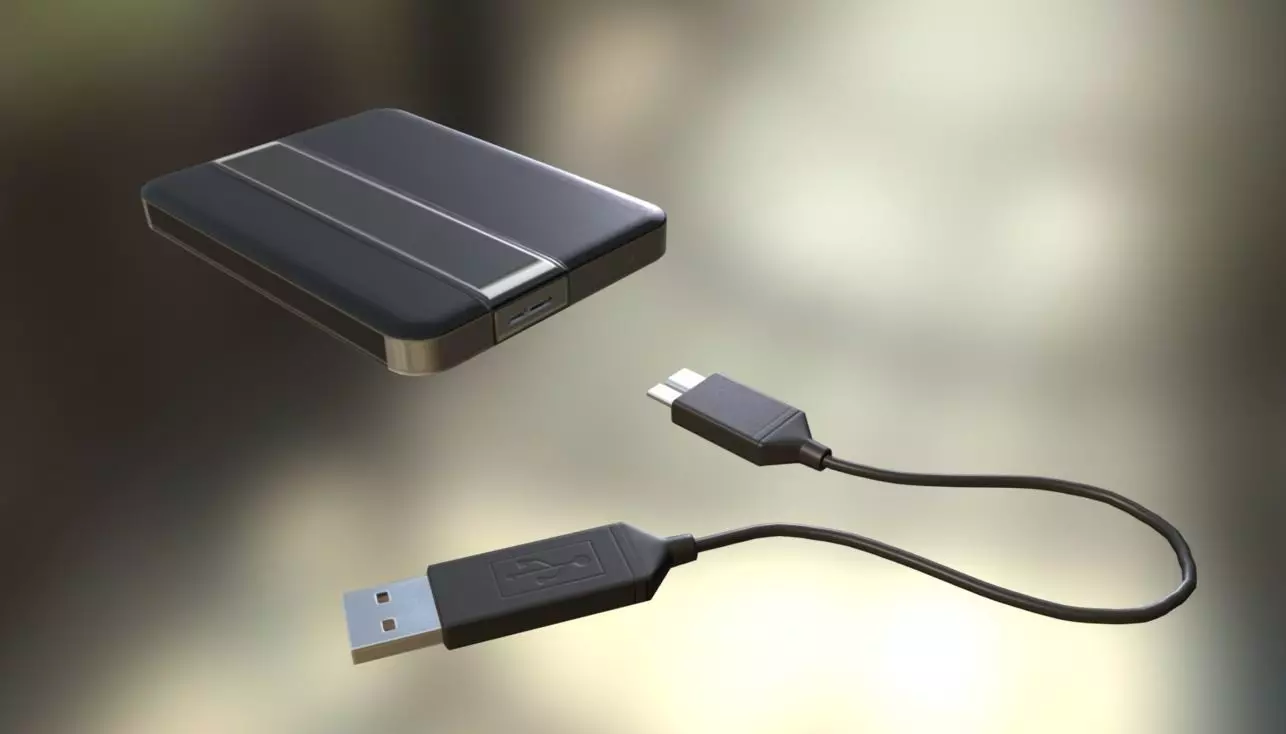 External HDD With USB Cable Rigged Dark Leather Version Low-poly 3D model_0