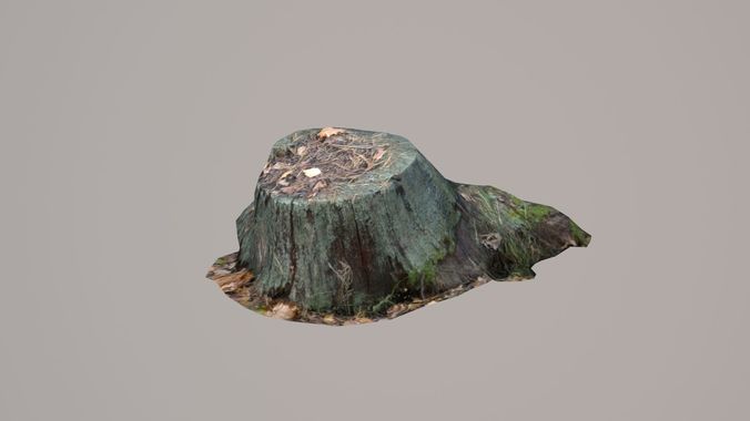 Stump pine Low-poly 3D model