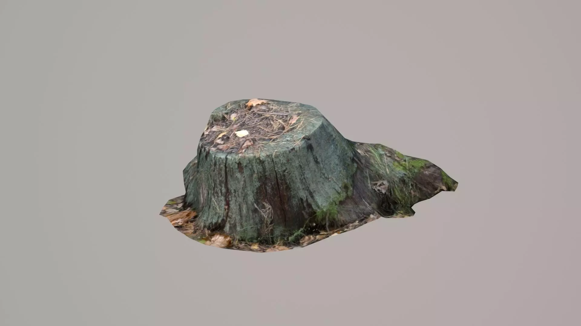 Stump pine Low-poly 3D model