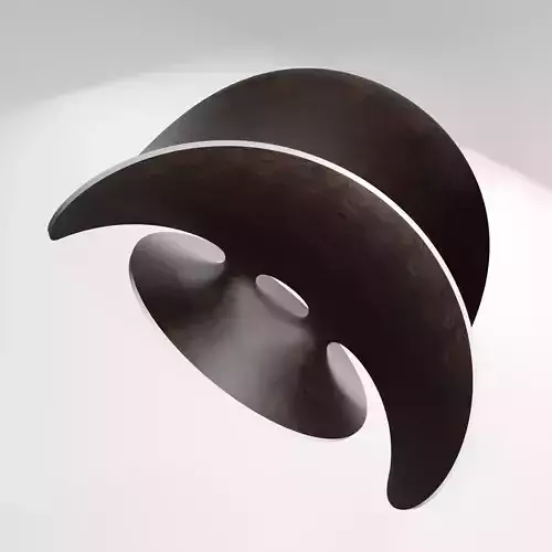 Catenoid with Enneper Surface