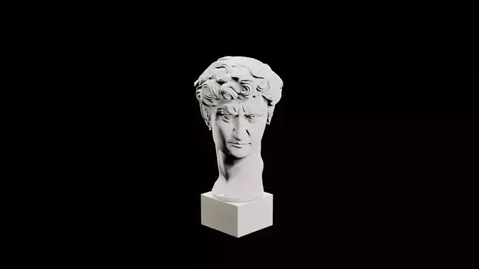 Ancient Roman ROme Sculpture Head Bust David Michelangelo