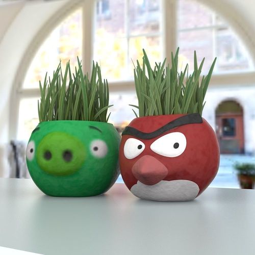 Decorative plants angry Birds 3D model