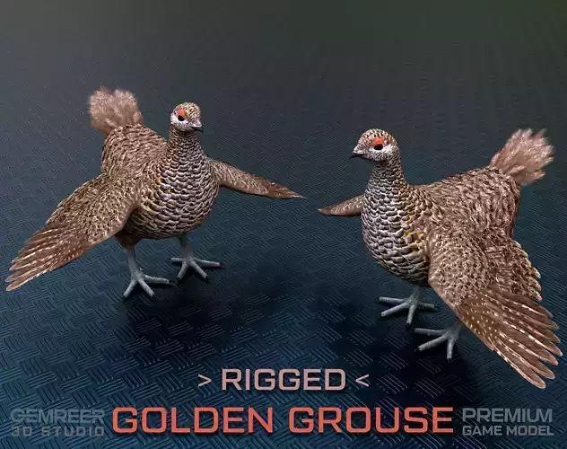 Grouse  - Ornate Forest Bird Rigged 3D model
