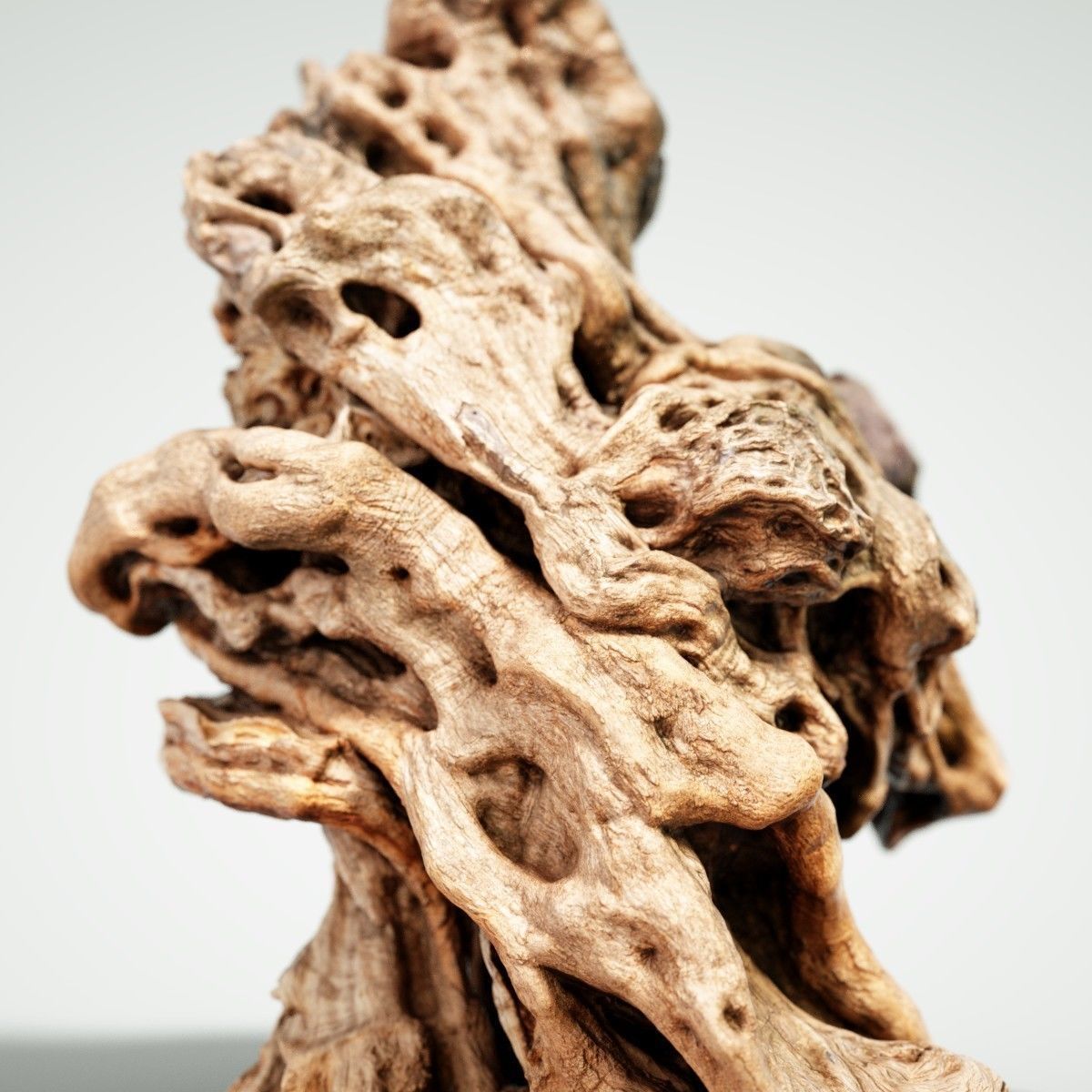 Olive tree base trunk Low-poly 3D model_12