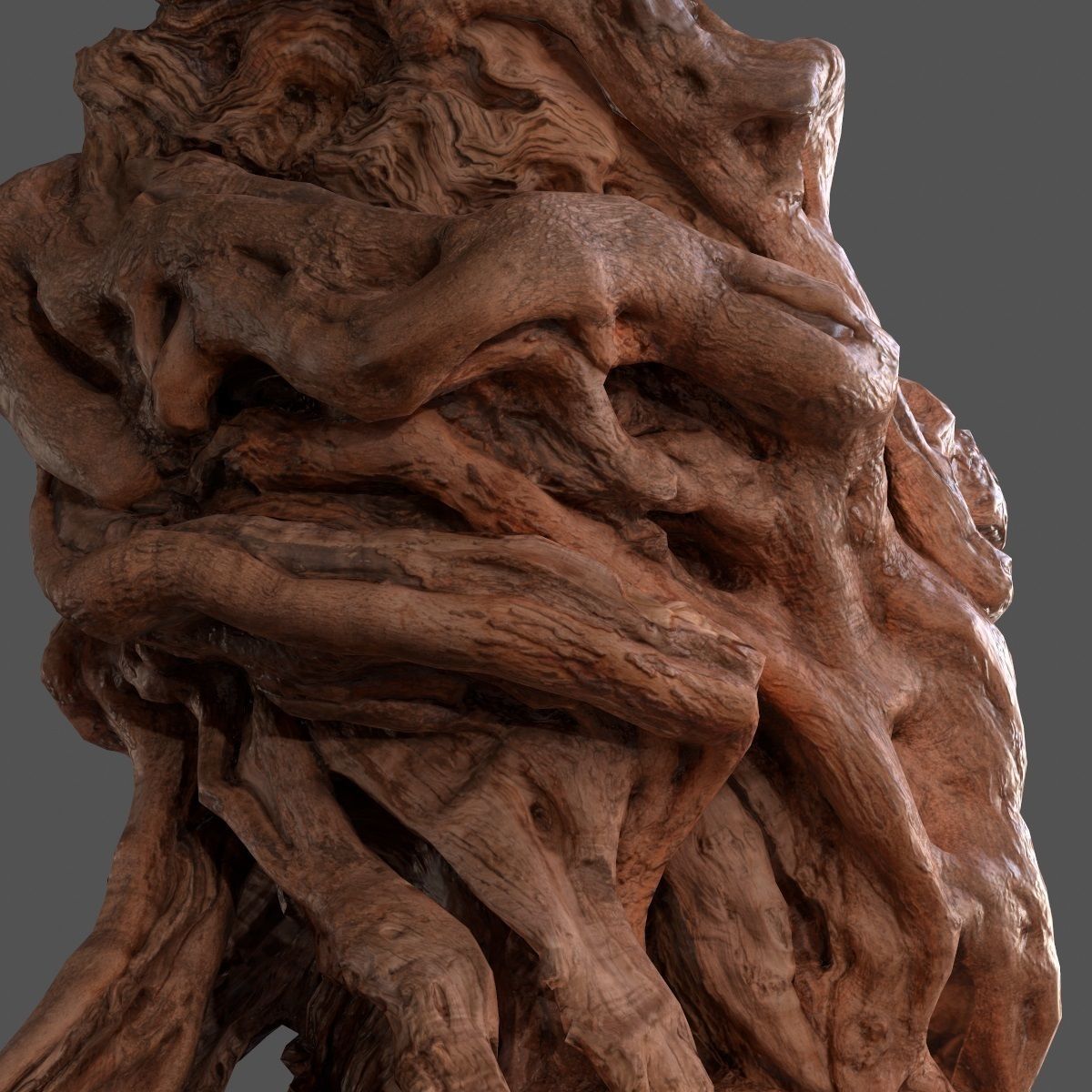 Olive tree base trunk Low-poly 3D model_10