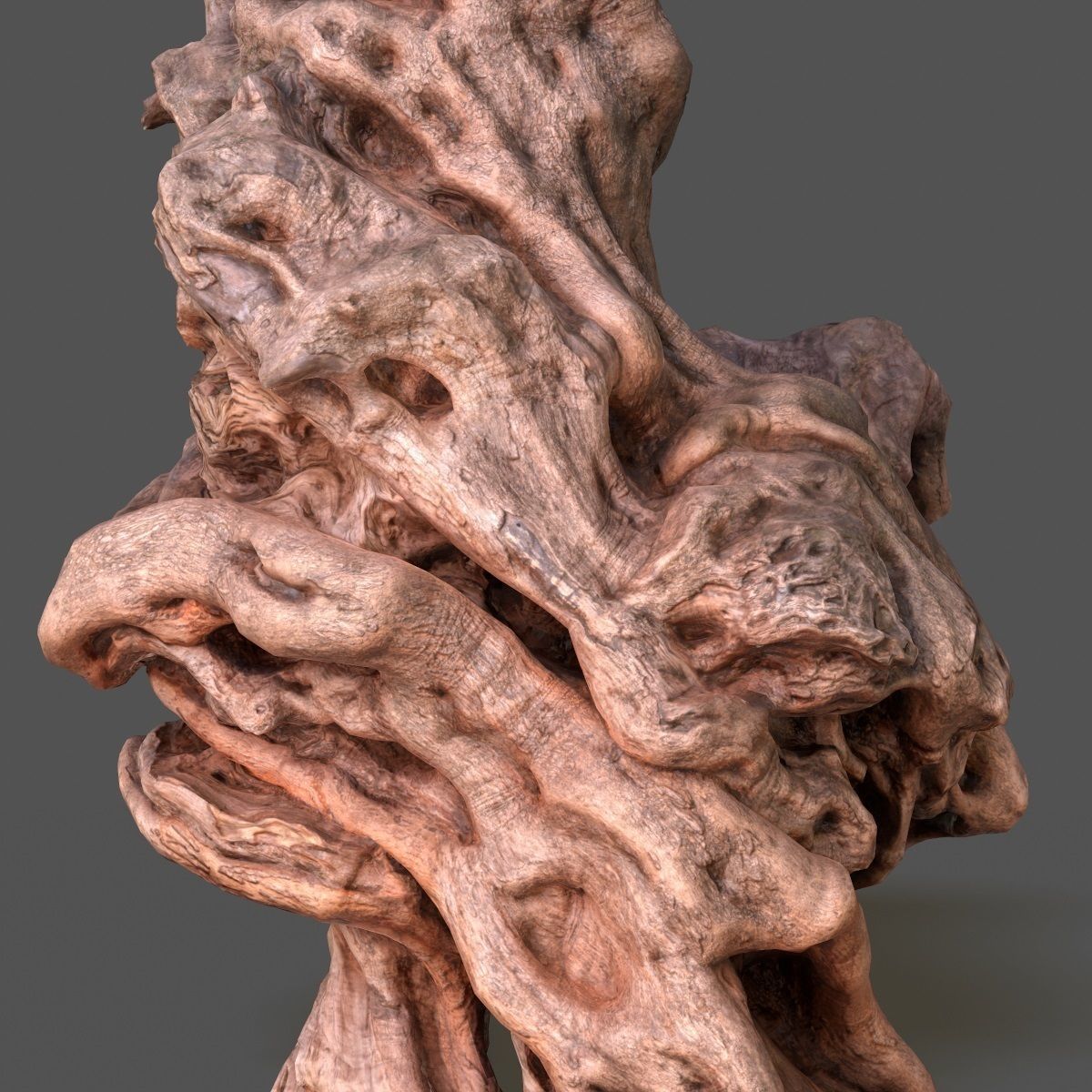 Olive tree base trunk Low-poly 3D model_9