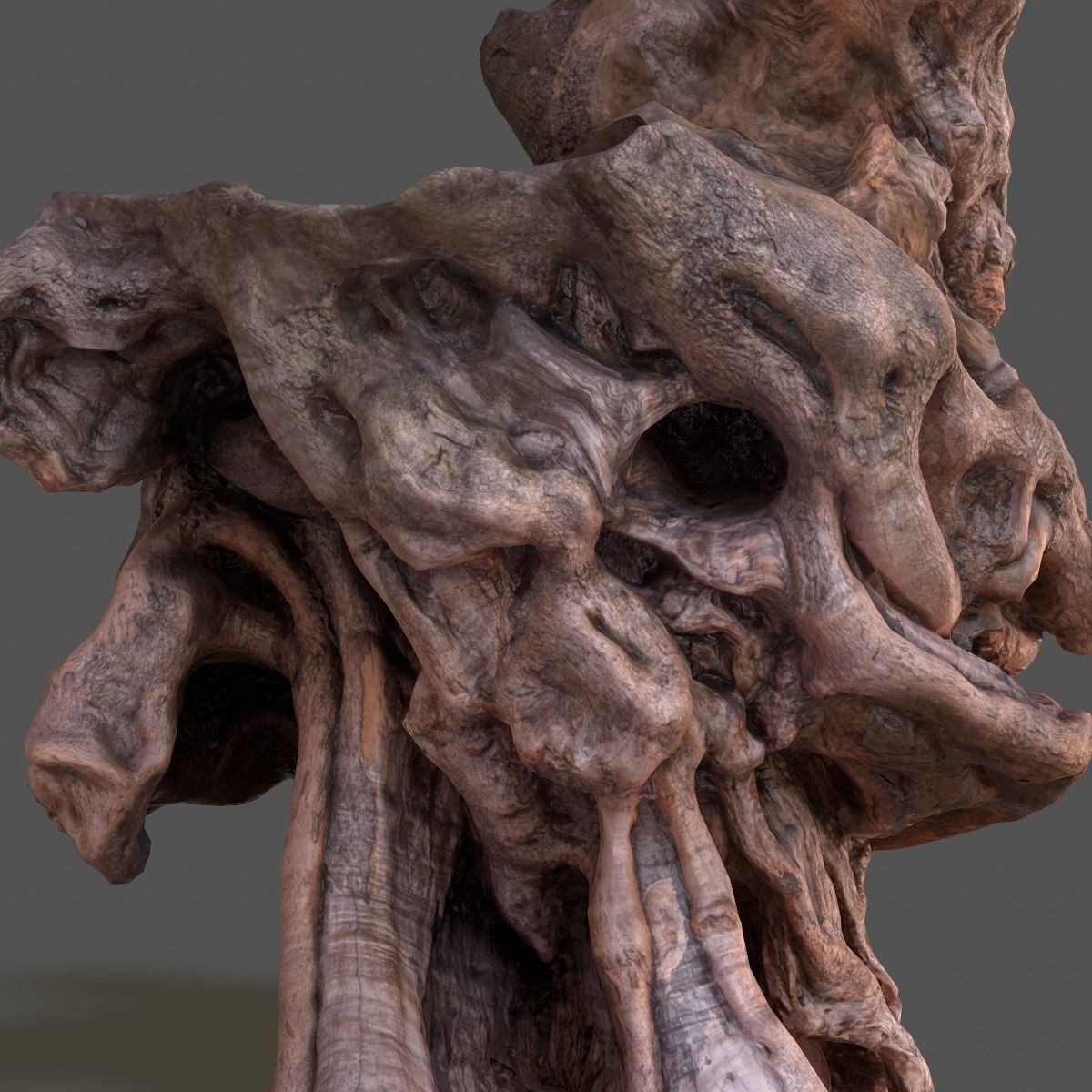 Olive tree base trunk Low-poly 3D model_7