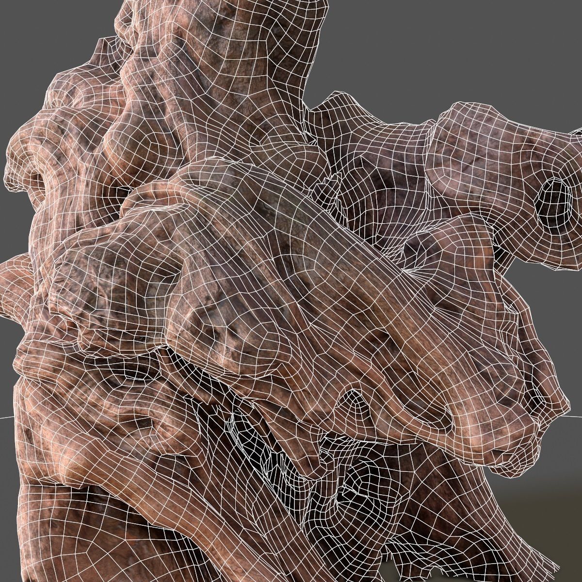 Olive tree base trunk Low-poly 3D model_5