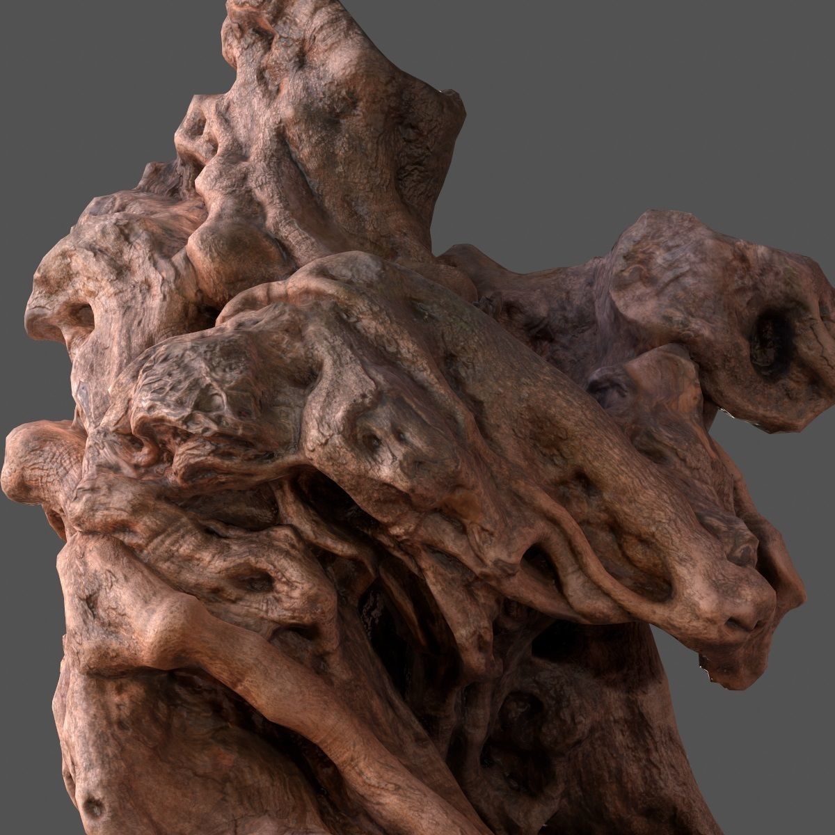 Olive tree base trunk Low-poly 3D model_6