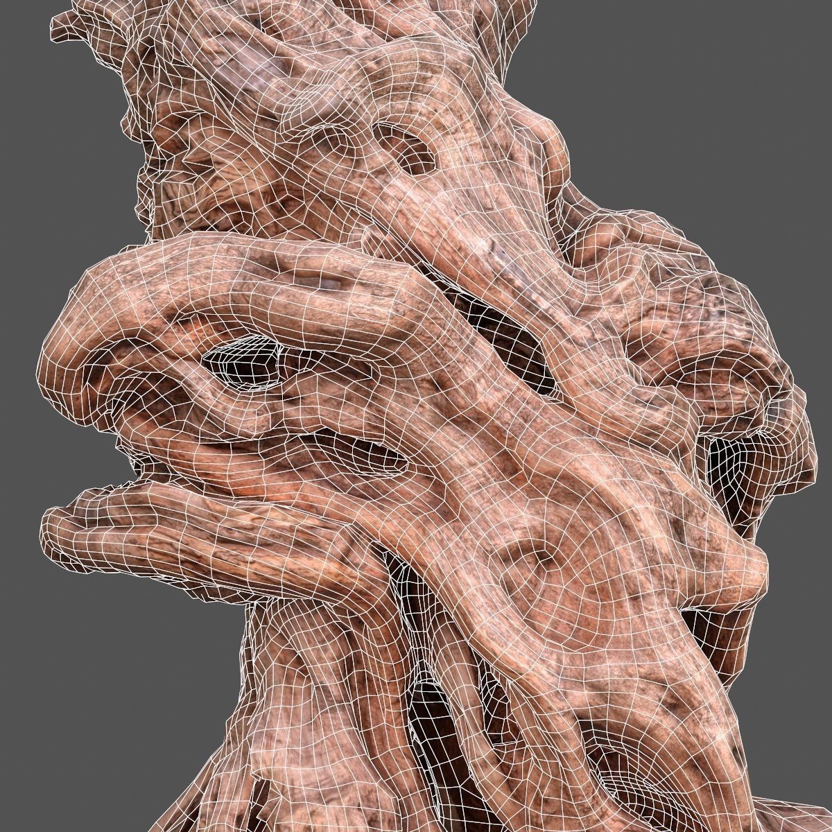 Olive tree base trunk Low-poly 3D model_11