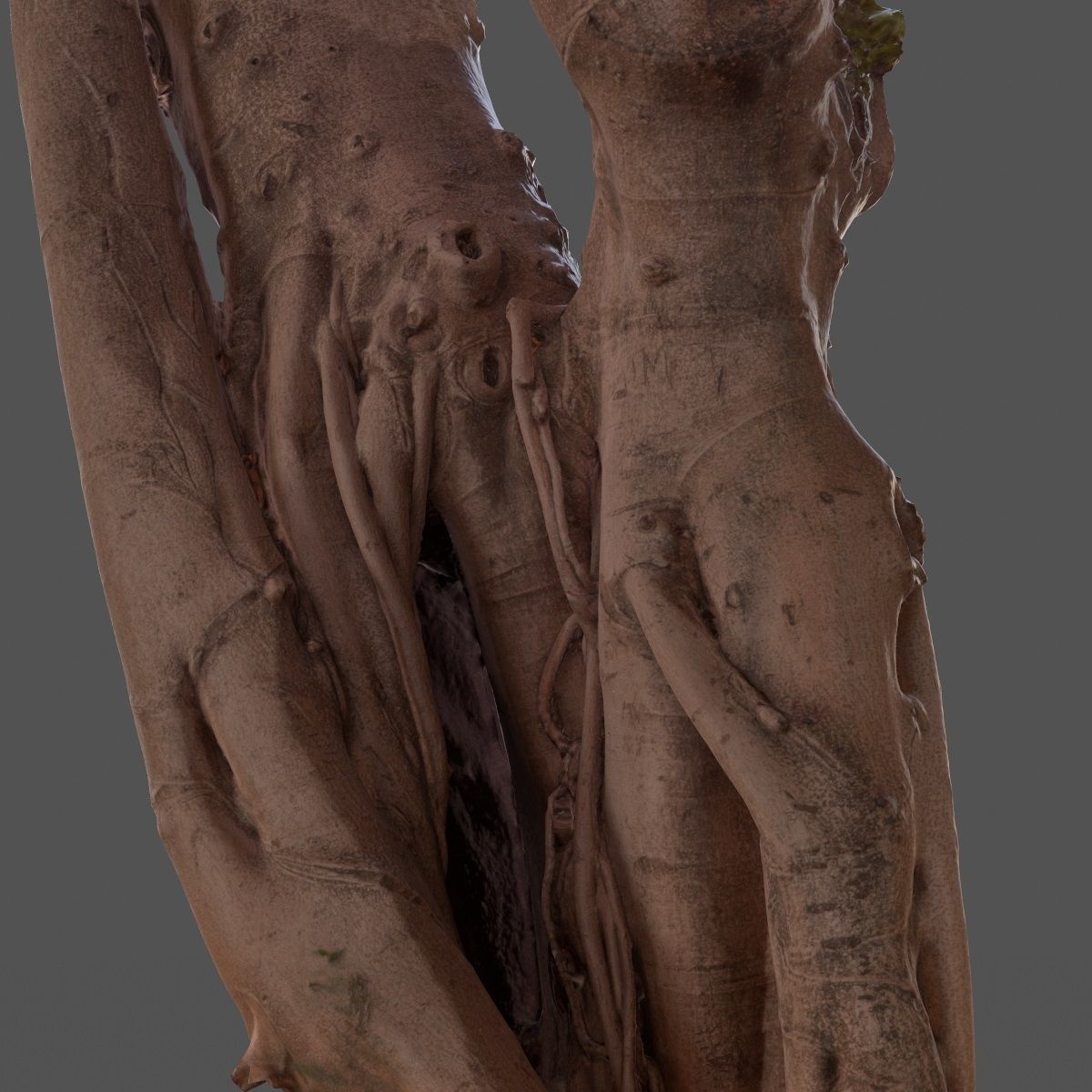 Road tree Low-poly 3D model_13