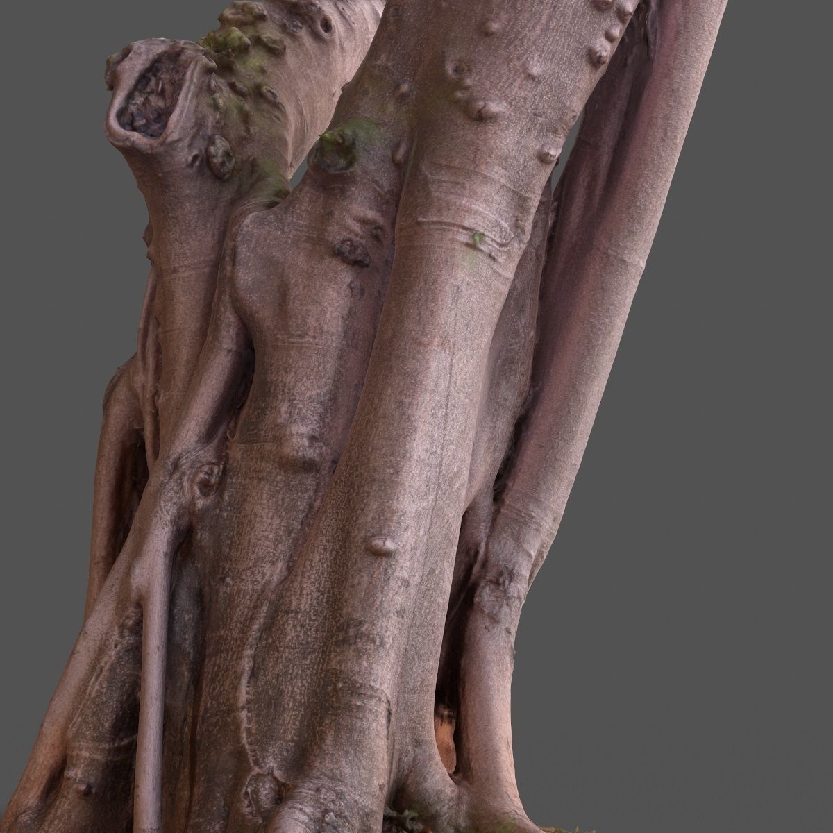 Road tree Low-poly 3D model_8