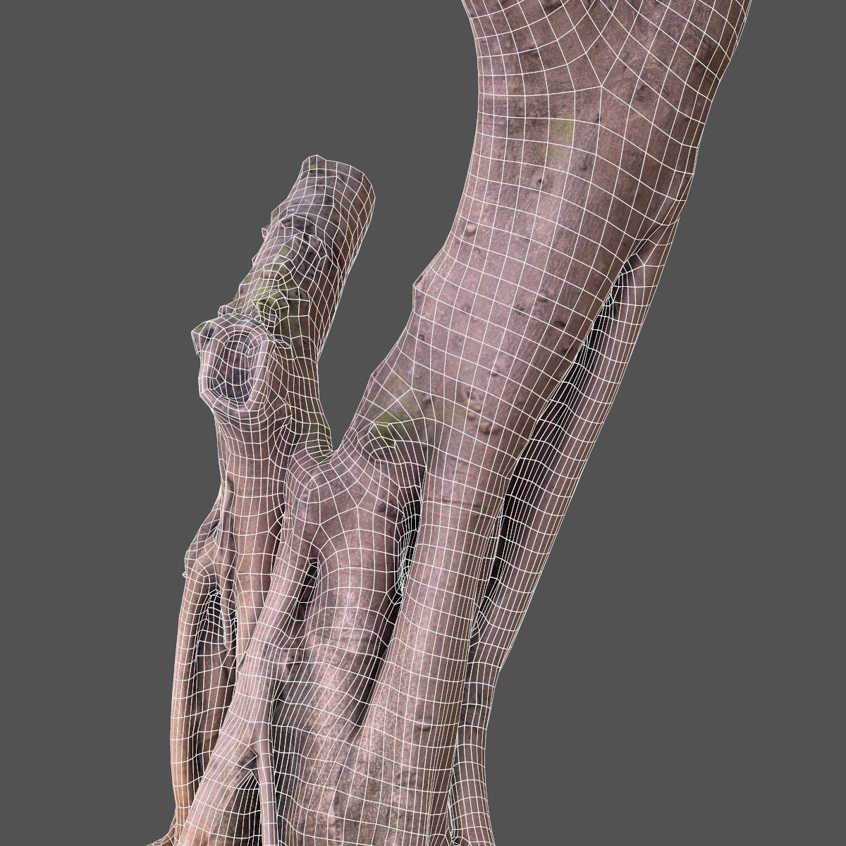 Road tree Low-poly 3D model_5