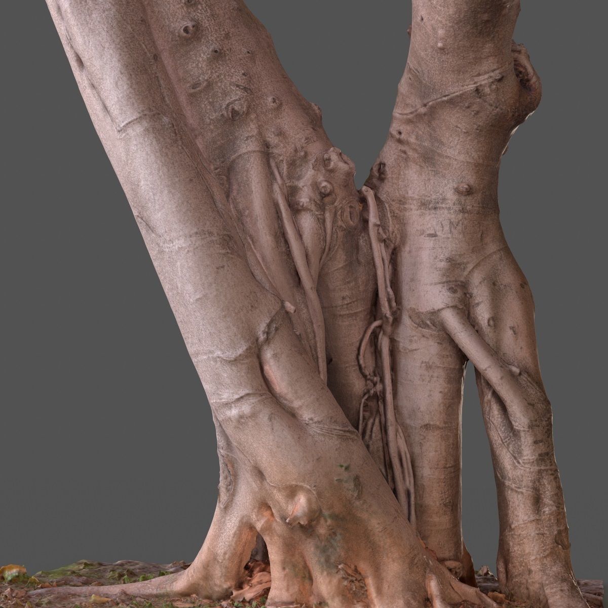Road tree Low-poly 3D model_12