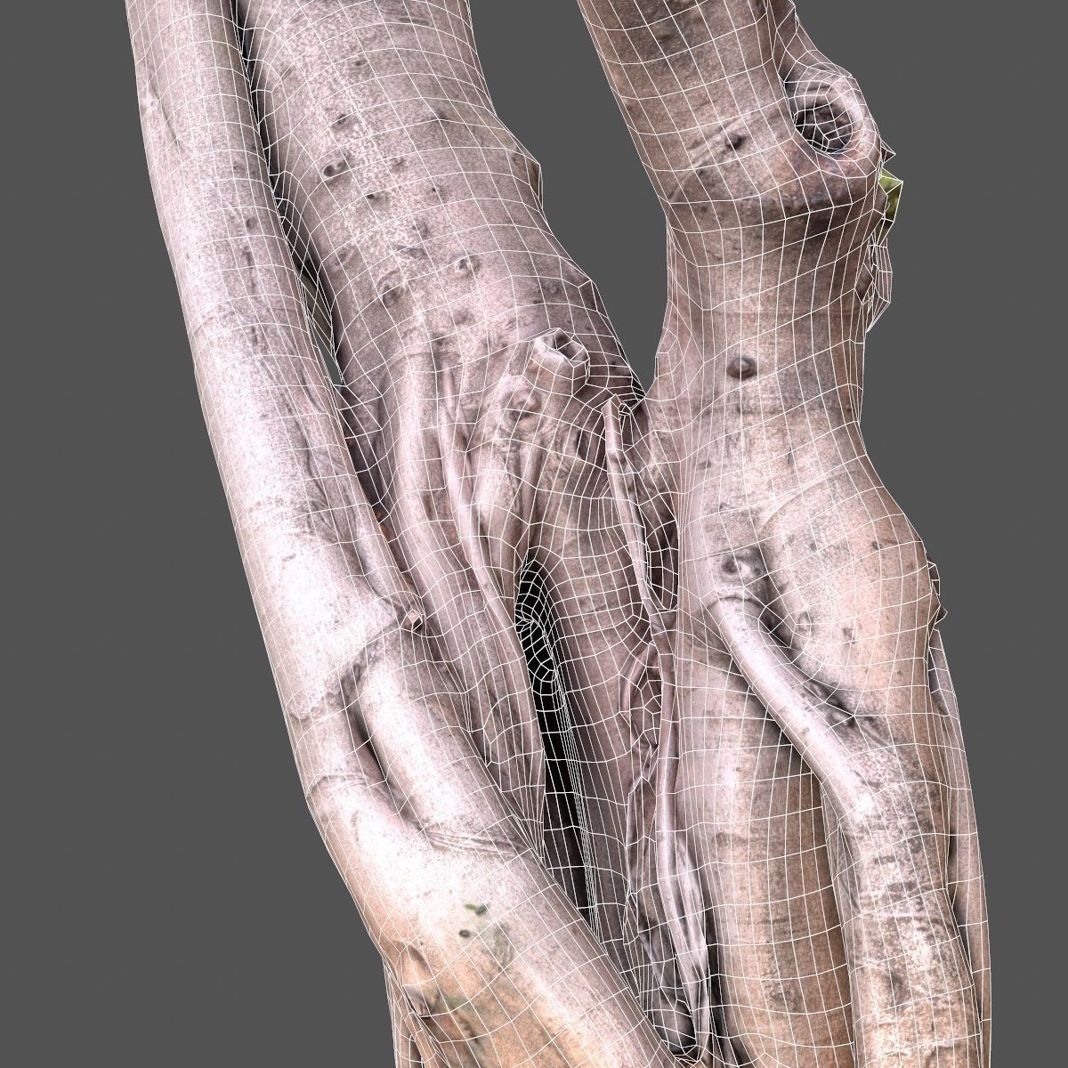 Road tree Low-poly 3D model_11