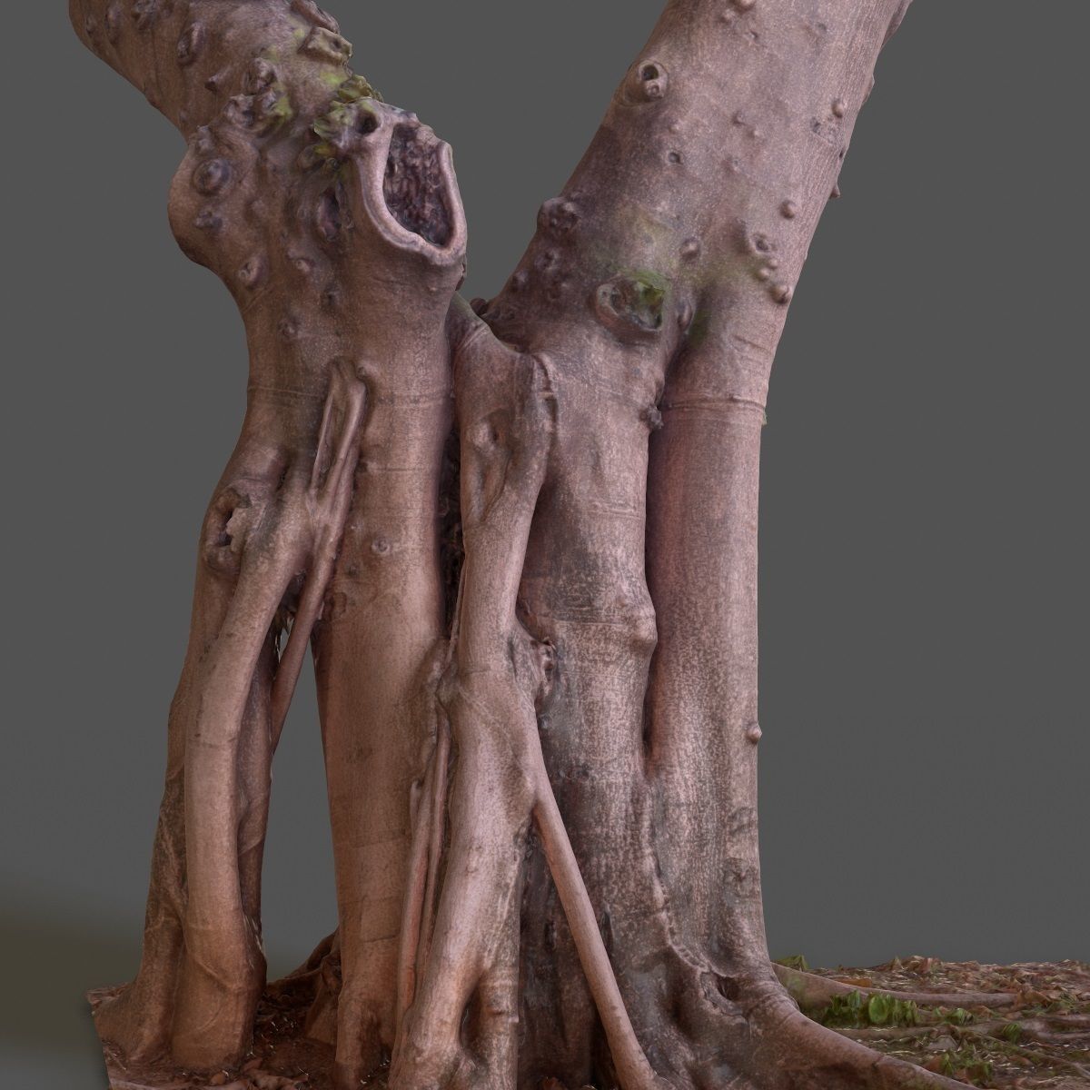 Road tree Low-poly 3D model_10