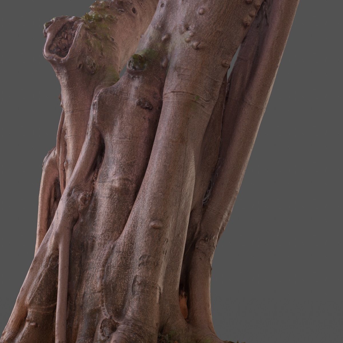 Road tree Low-poly 3D model_7