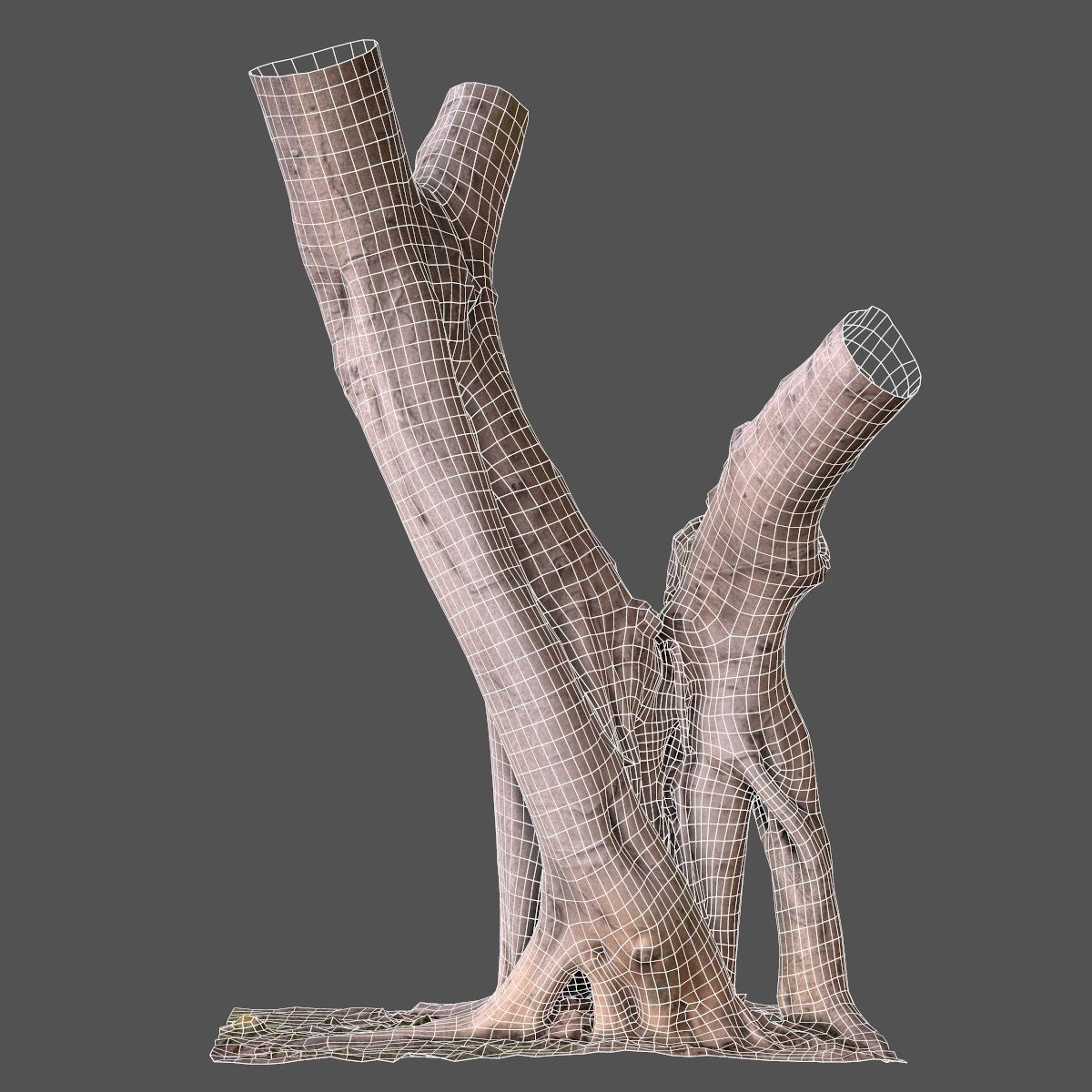 Road tree Low-poly 3D model_9
