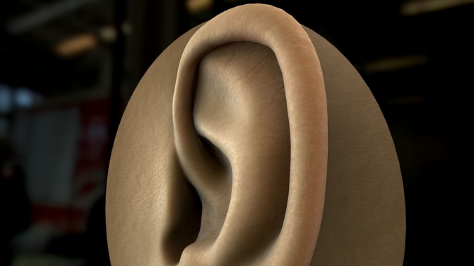 Real Time Textured Human Ear 3D model