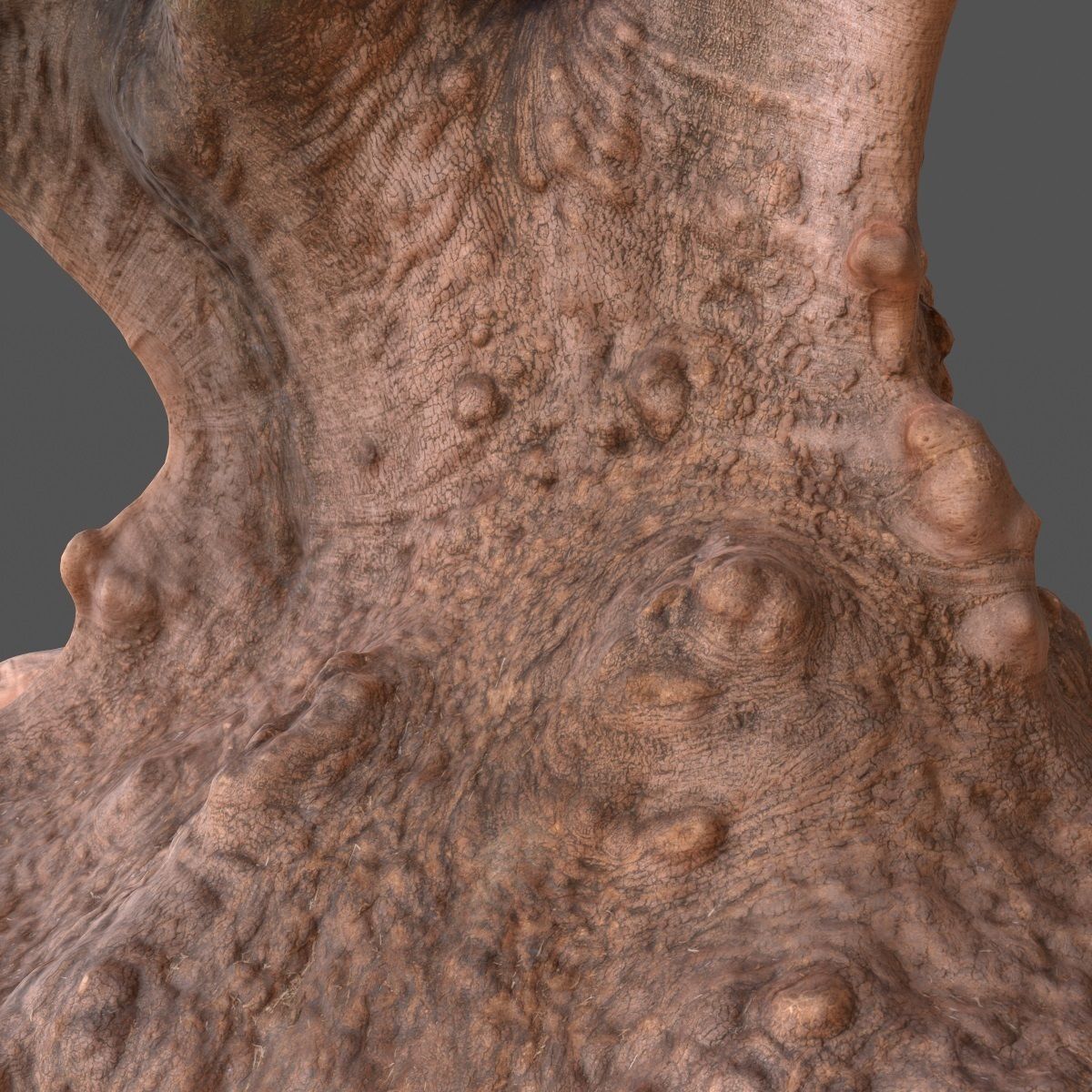 Large tree Scanned 3D Low-poly 3D model_12