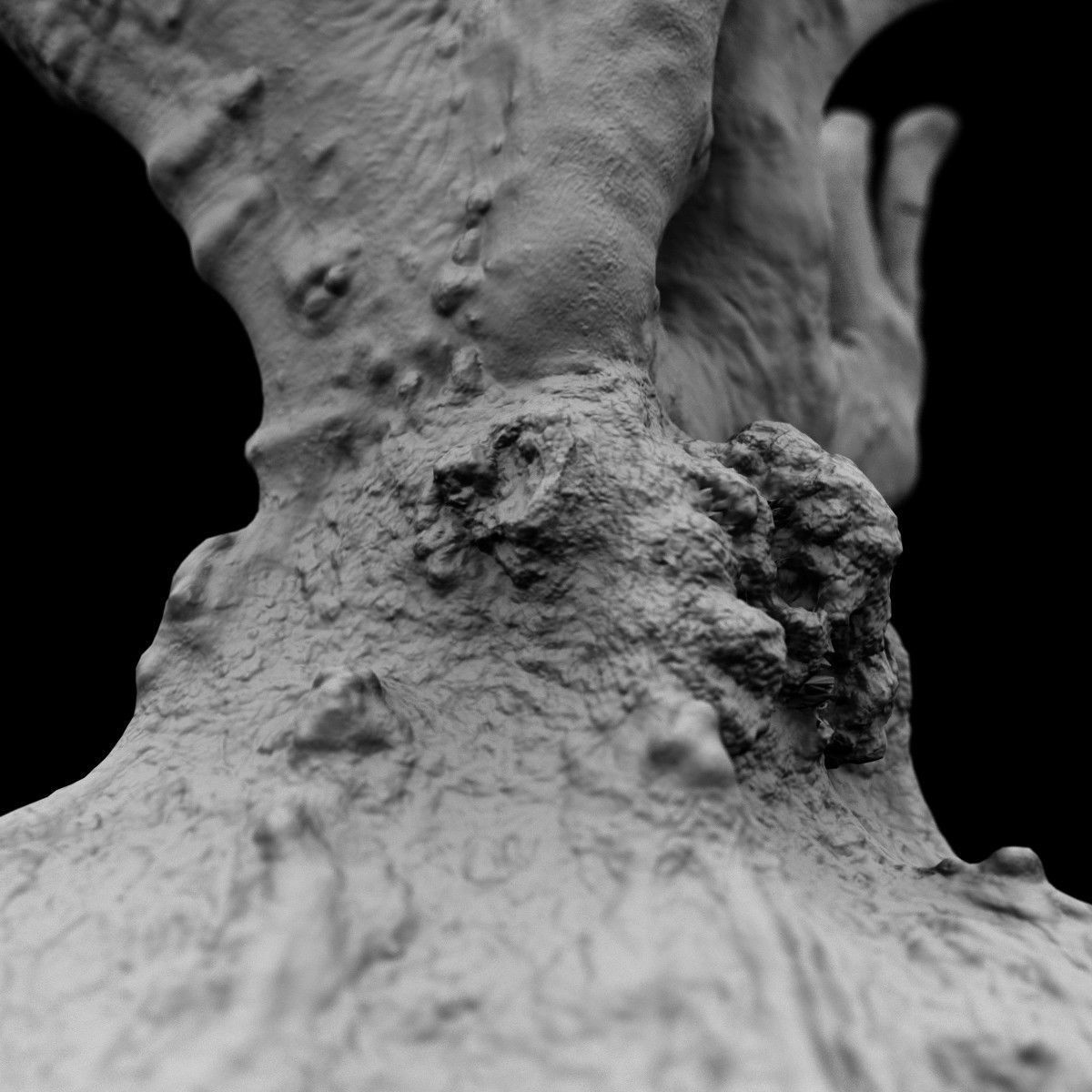 Large tree Scanned 3D Low-poly 3D model_5