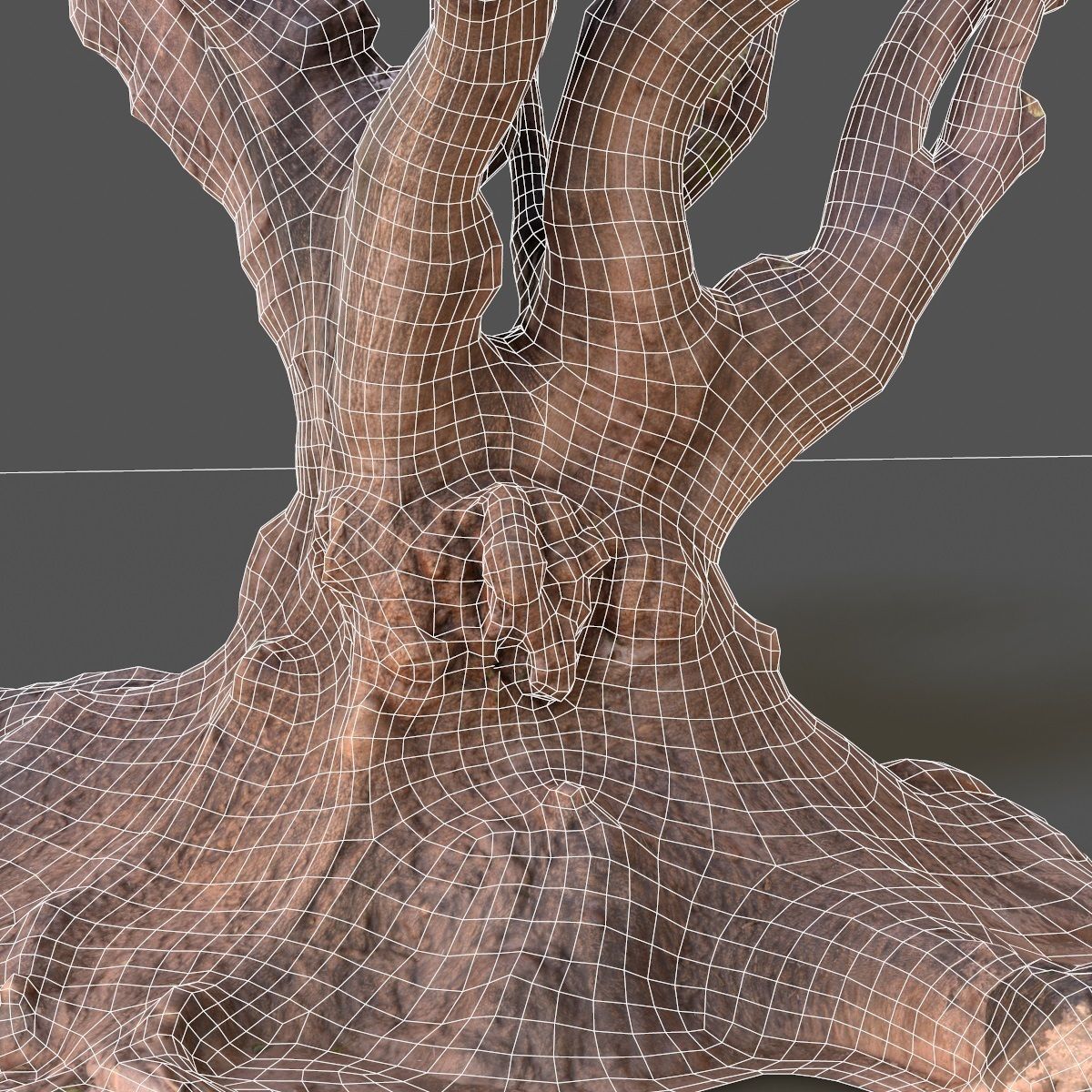 Large tree Scanned 3D Low-poly 3D model_11