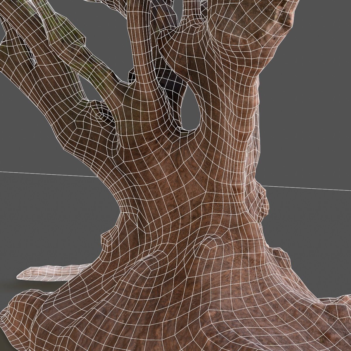 Large tree Scanned 3D Low-poly 3D model_6