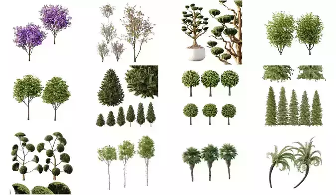 Excellent collection of Outdoor plants 39 Different Models 0047