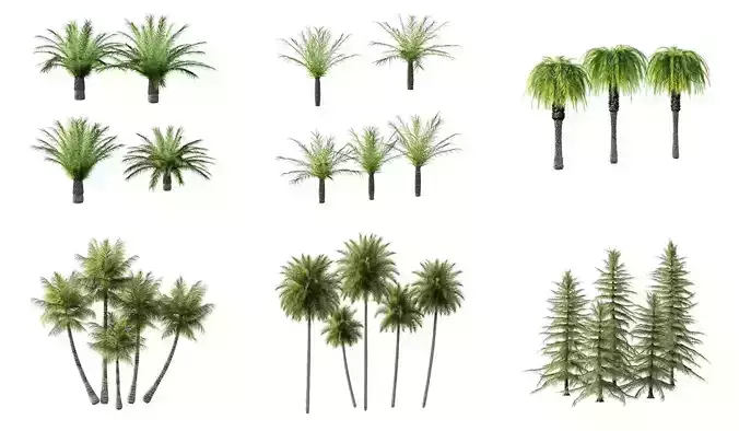 Excellent collection of Outdoor plants 27 Different Models 0048