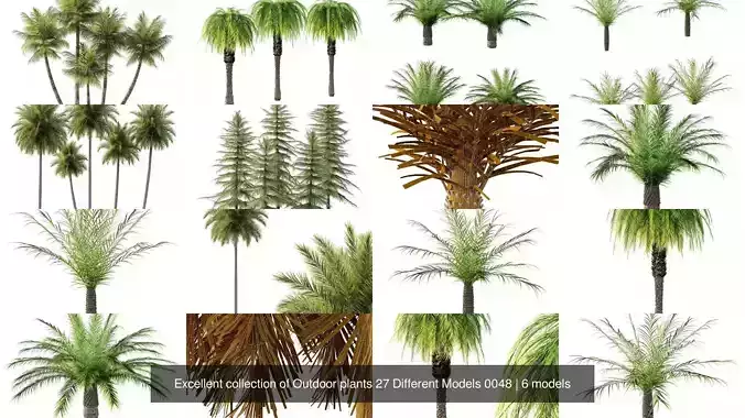 Excellent collection of Outdoor plants 27 Different Models 0048