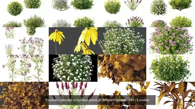 Excellent collection of Outdoor plants 25 Different Models 0049