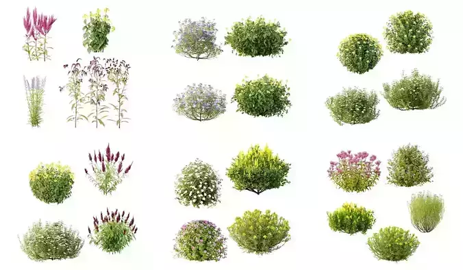 Excellent collection of Outdoor plants 25 Different Models 0049