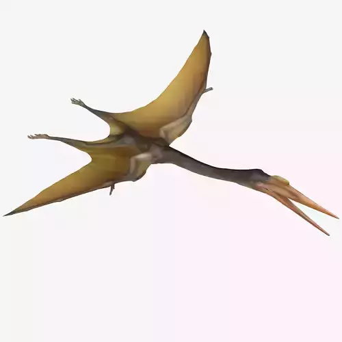 Quetzalcoatlus dinosaur Low-poly 3D model